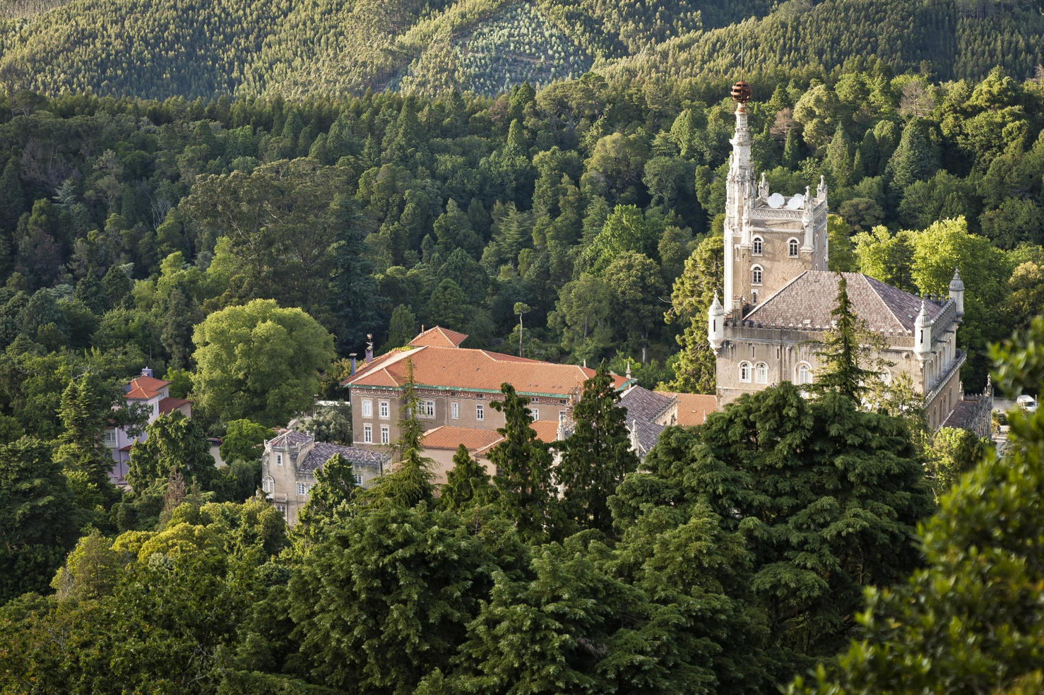 Mata Nacional e Palácio do Bussaco